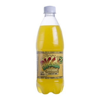 Bigga | Pineapple | Pet | 12 x 600 ml