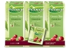 Pickwick | Professional | Groene thee Cranberry | 75 x 1.5 gram